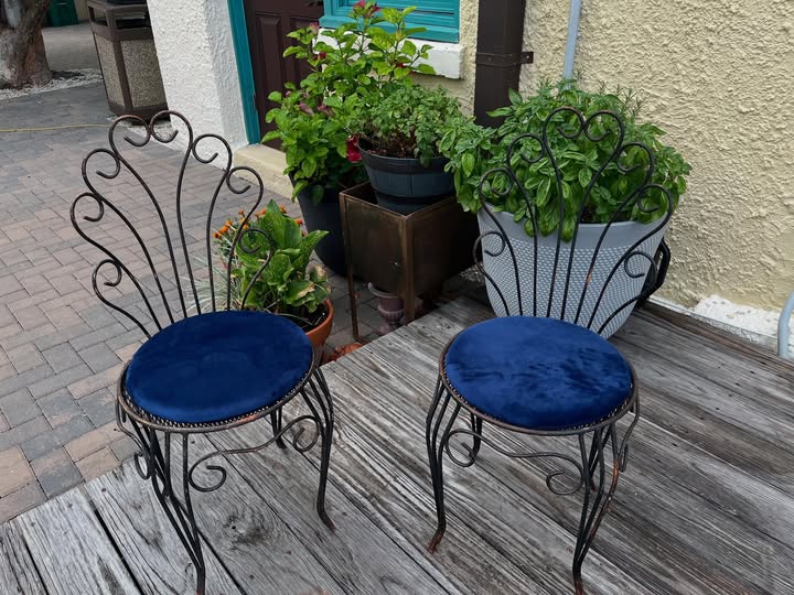 Cute pair of scalloped back chairs with blue cushions. Price: $125/pair #vintagechairs